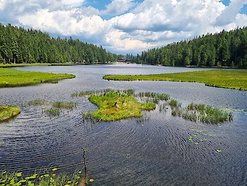 Arbersee